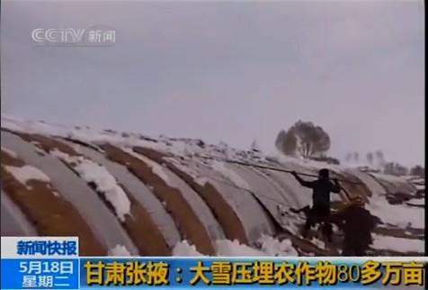 五月张掖惊现鹅毛大雪 积雪最厚可达20厘米 Rurl4_b=997d04fcab889809539f64dd81daec068028e6e1a3d1984e5b2353fdd7d04e82b94a435c542242246850844688c8b45e8d4f20fc7b079b17a9720e2b178e27afd6c92e8a7c594d8c6863a168069d1ae2f8bc0cfc&a=41&b=39